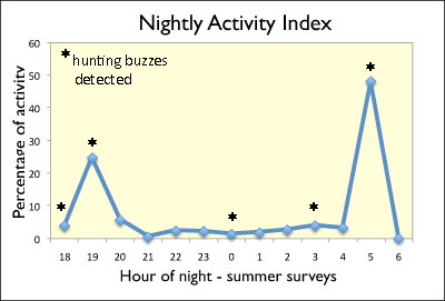 Nightly Activity