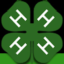 4H logo